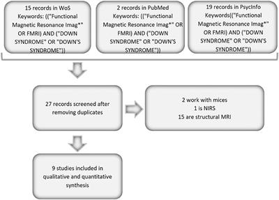 Using fMRI to Assess Brain Activity in People With Down Syndrome: A Systematic Review